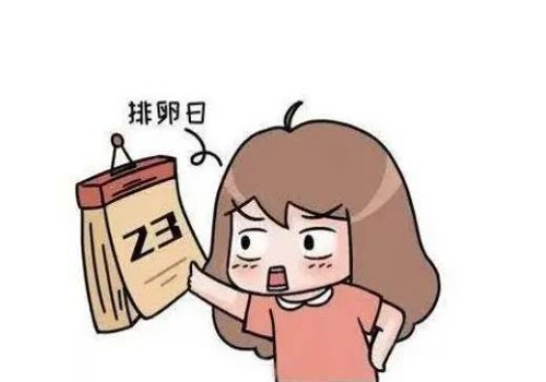 排卵日体温变化：排卵期体温监测的技巧及注意事项