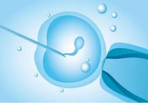 广州助孕：试管婴儿移植之前为什么要检查宫腔环境？