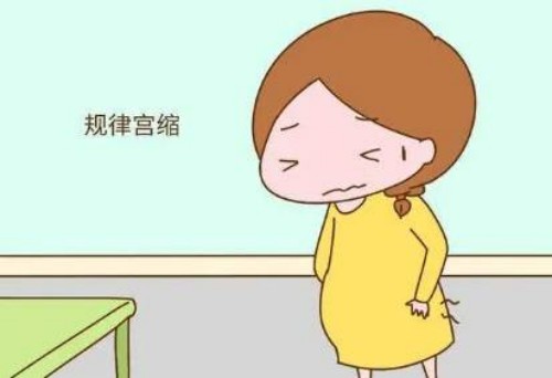 广州供精试管：睾丸扭转治疗要及时，否则生育能力不保